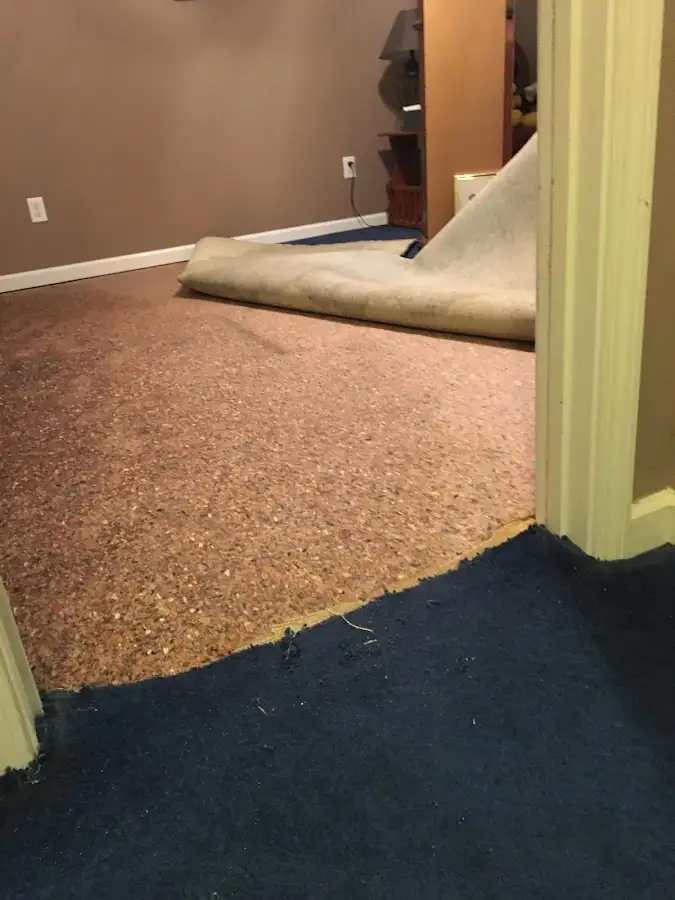 Carpet pad removal revealing water damage during Drying & Dehumidification in Thurmont