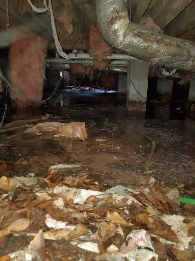 Crawl space flood assessment for Leak Detection & Repair in Thurmont