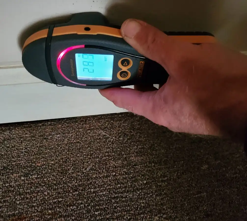 Moisture detection at baseboard during Mold Inspection & Testing in Thurmont